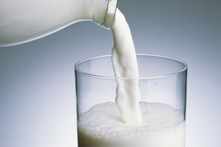 concentrated-milk-fat-market-is-set-to-cross-a-valuation-worth-us-100