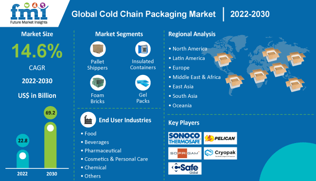 Cold Chain Packaging Market Outlook