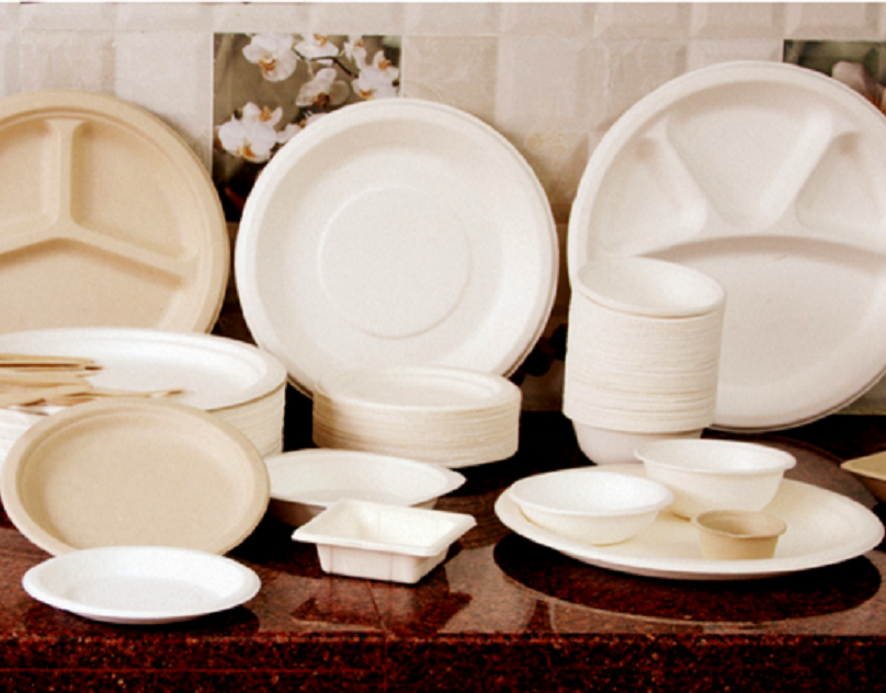 Biodegradable Disposable Tableware