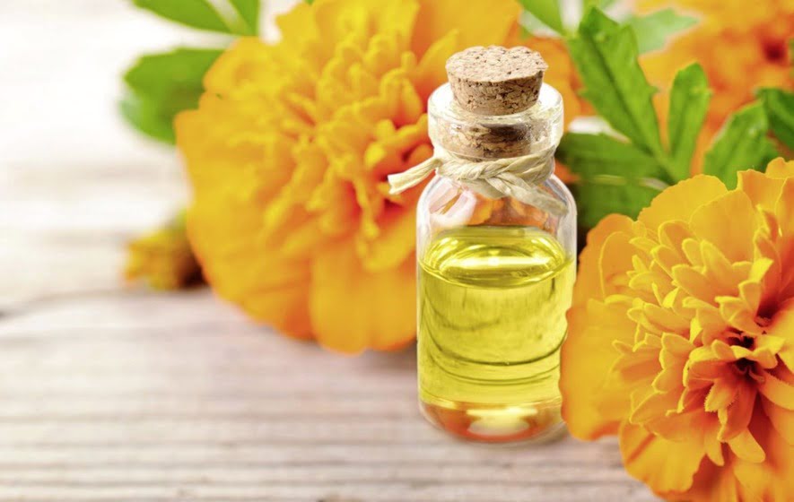 Marigold Essential Oil Market