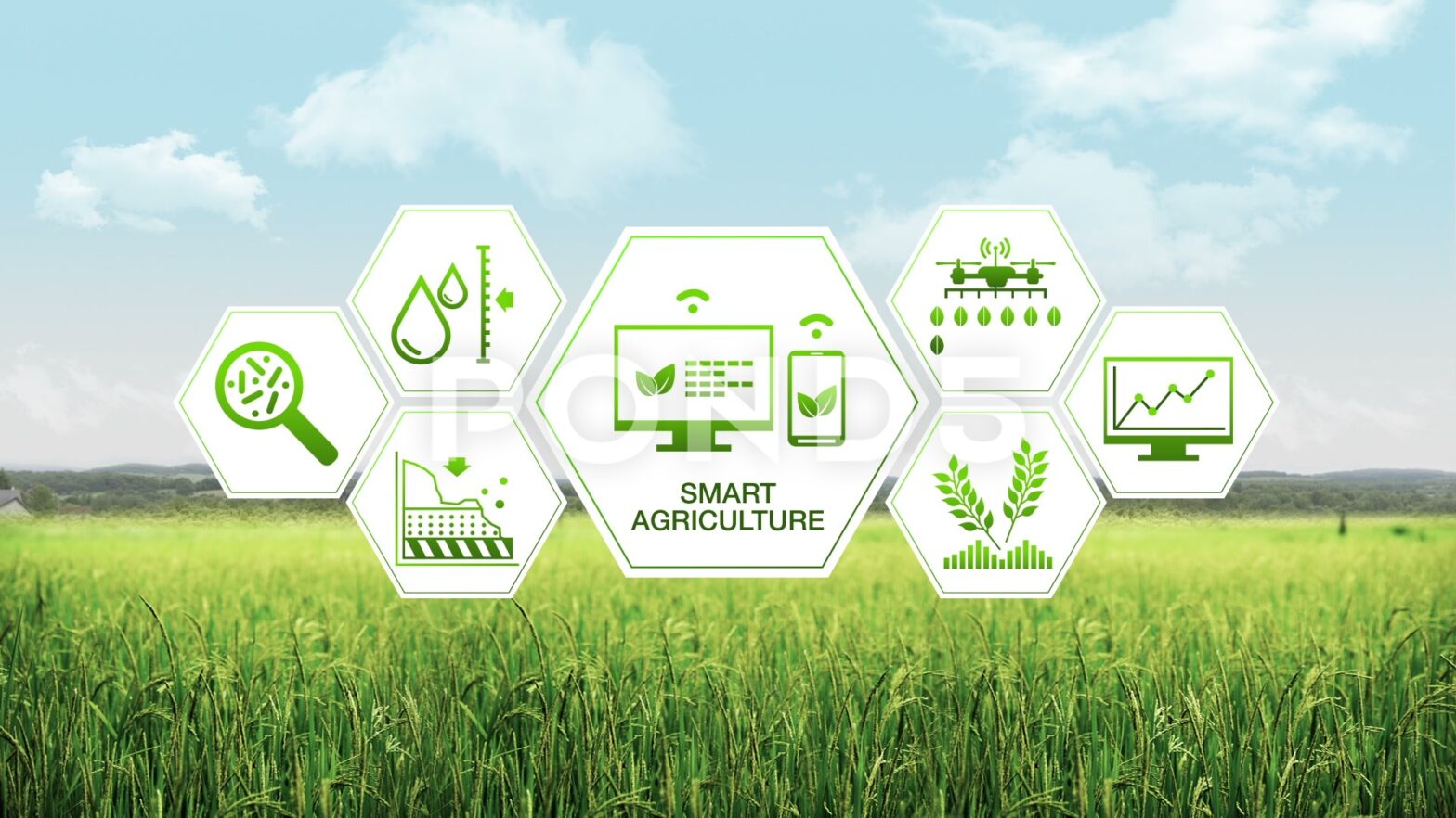 Smart Agriculture Solution Market