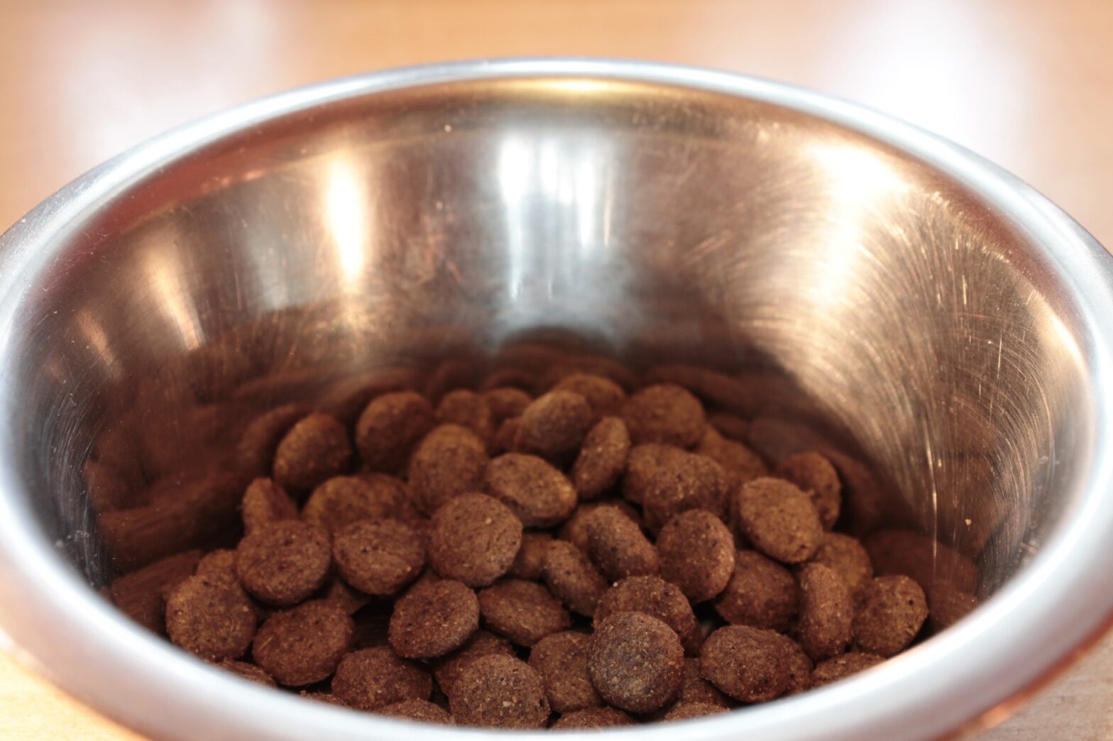 Small Breed Dog Food Market