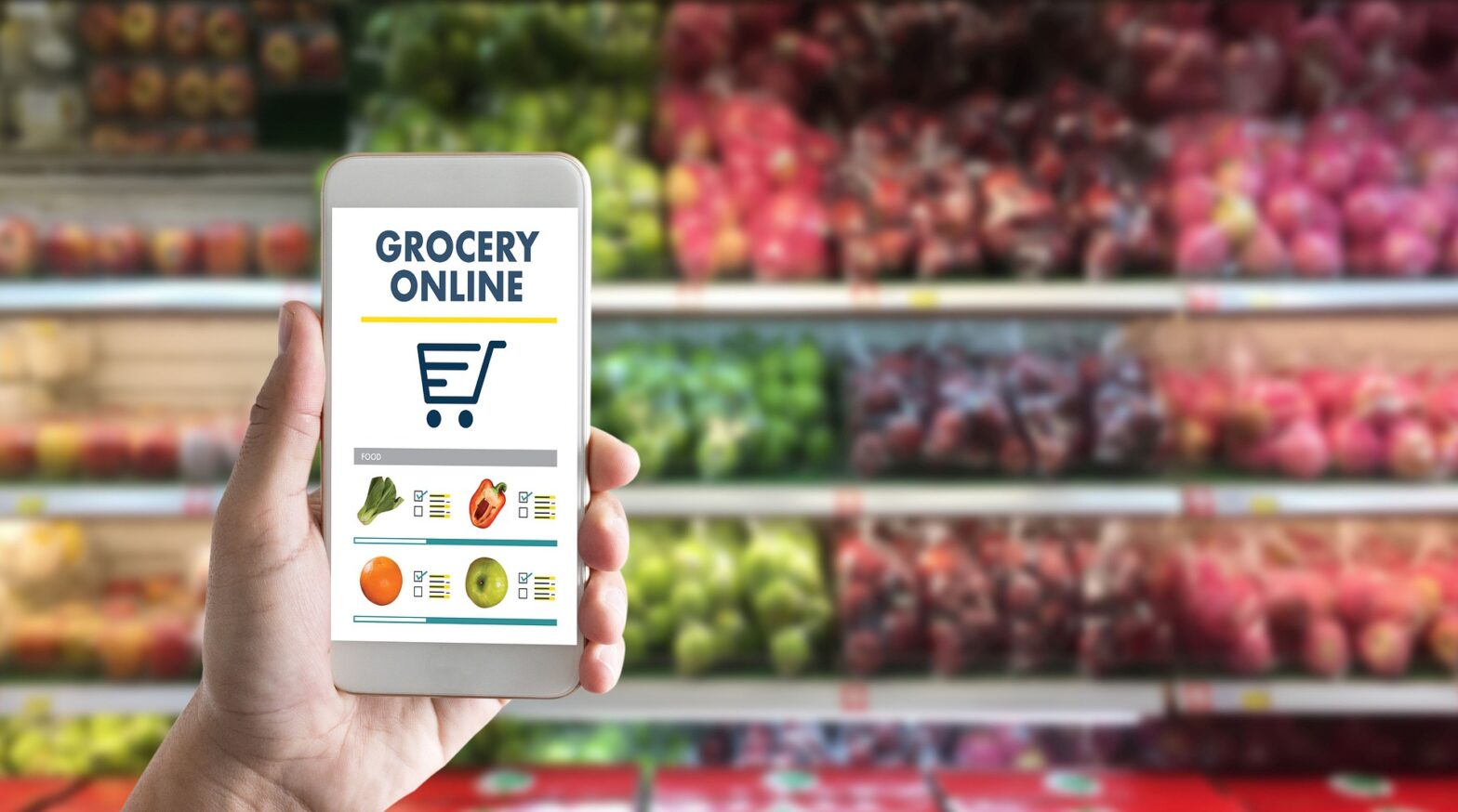 India Online Grocery Market