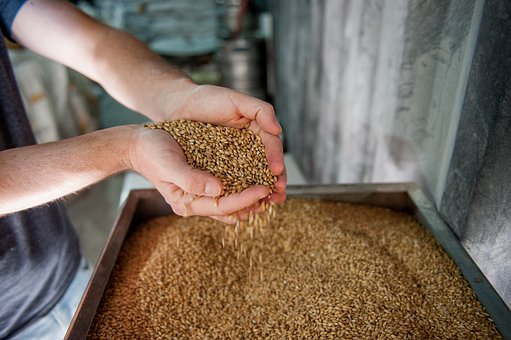 Dry Malt Products Market