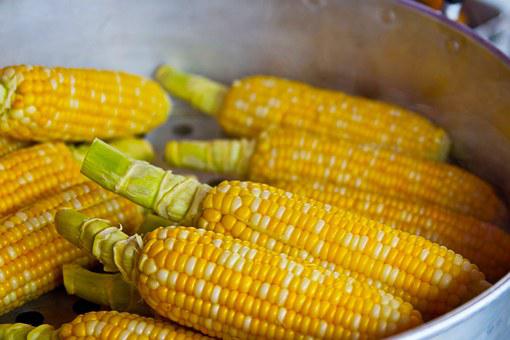 Hydrolyzed Corn Protein Market