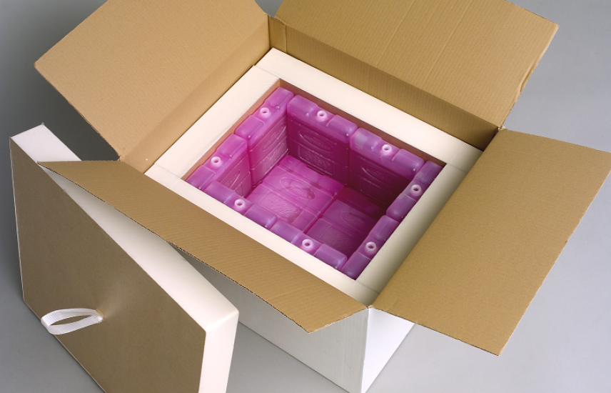 Temperature-Controlled Packaging Solution