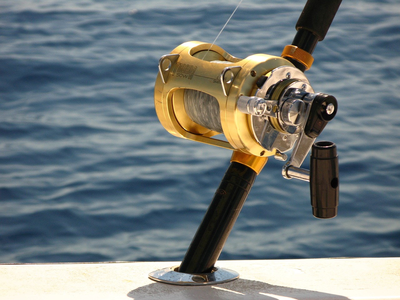 Fishing Reels Market