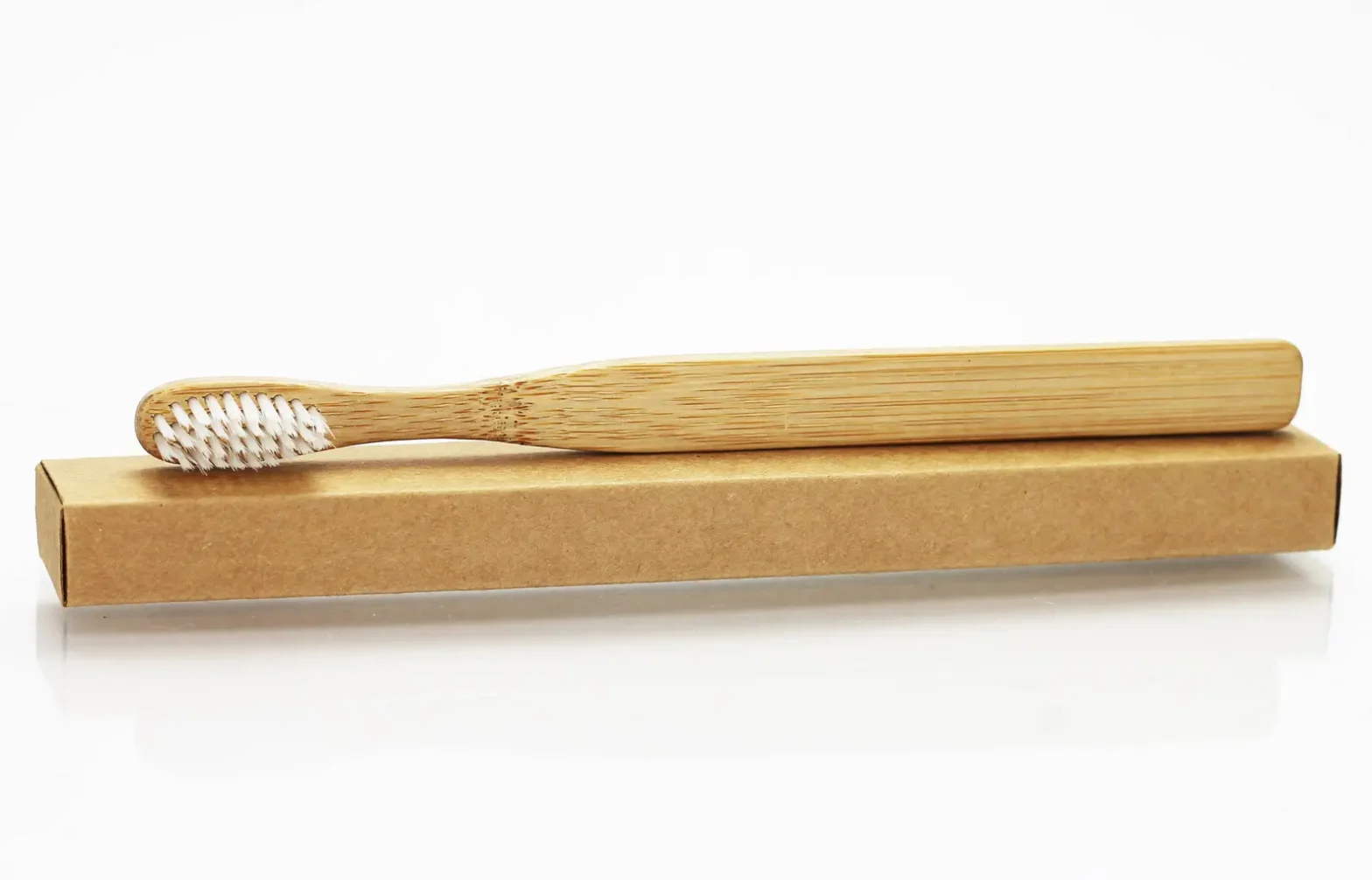 Compostable Toothbrush Market