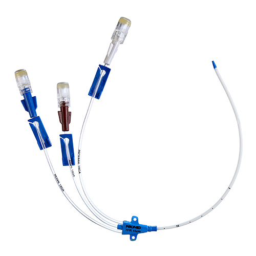 Central Venous Catheter market