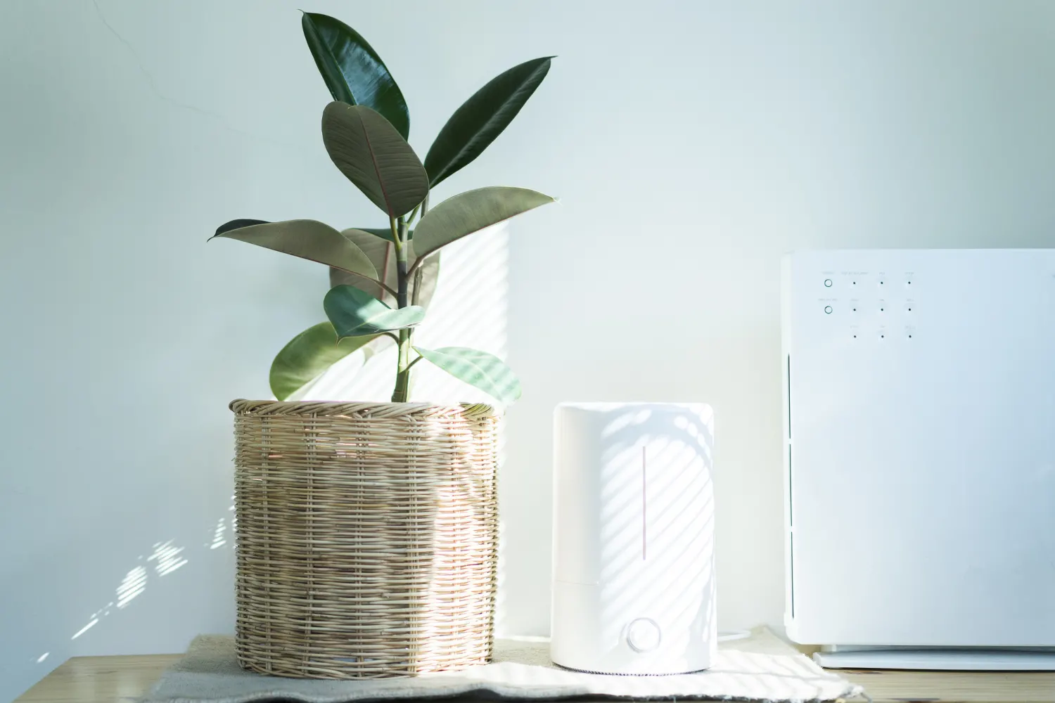 Air Purifier Market