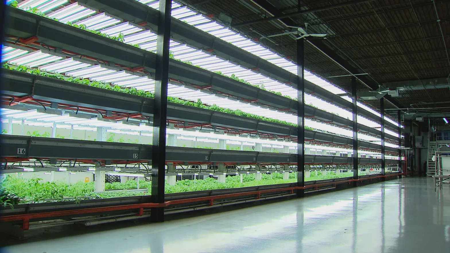 Indoor Farming Market