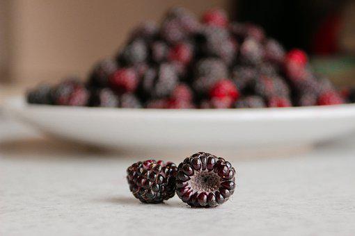 Rubus Fructicosus (Blackberry) Seed Market