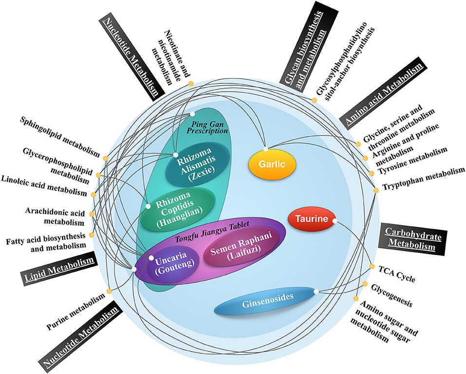 Amino Acid Metabolism Disorders Treatment Market