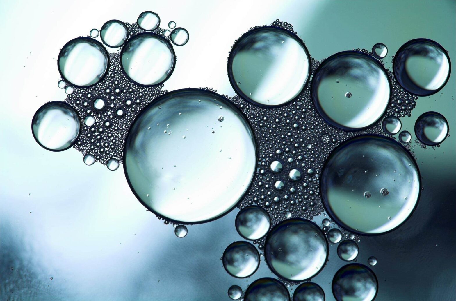 Organic Dispersants Market