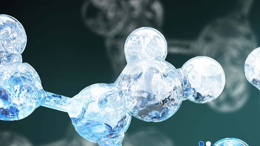 Bio-Based Levulinic Acid Market