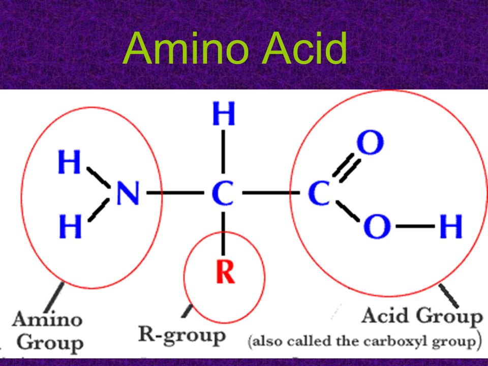 Amino Acids Market