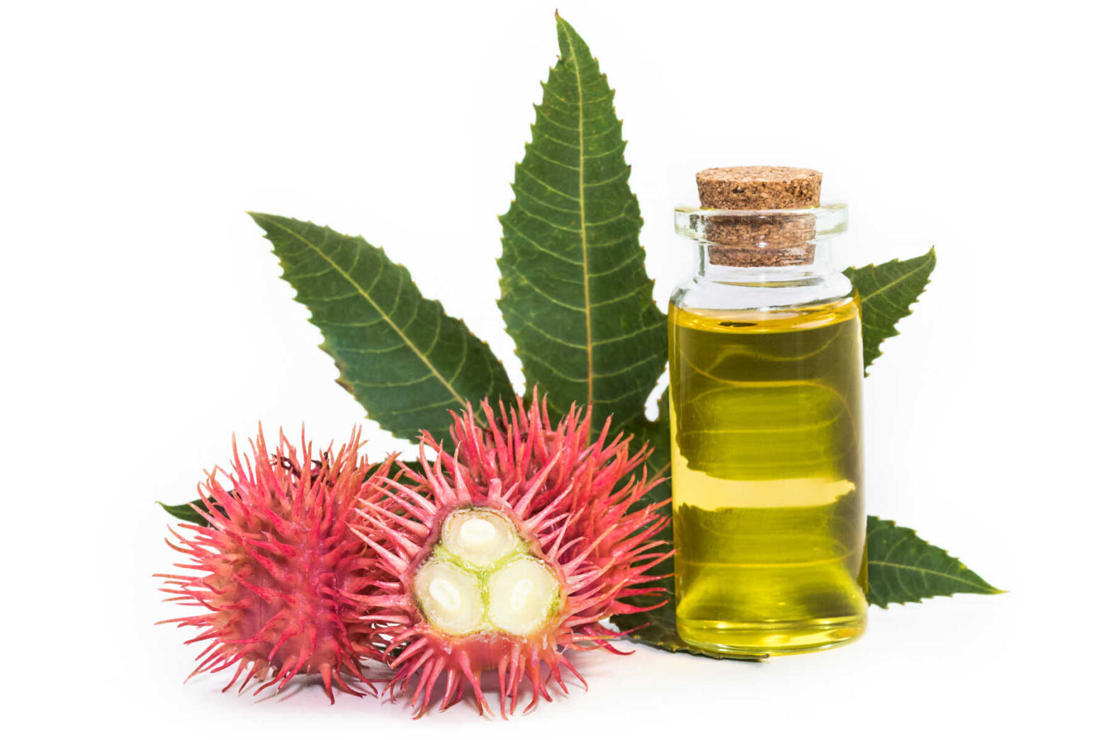 Castor Oil Derivatives Market