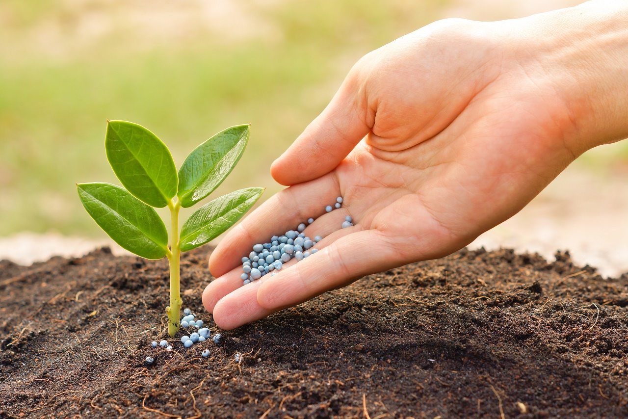 Herbicides Market