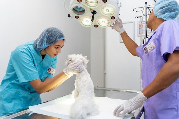 Veterinary Anesthesia Machines Market