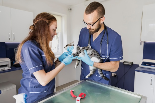 Veterinary Rehabilitation Services Market