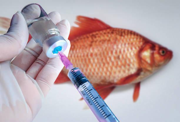 Aquaculture Vaccines Market