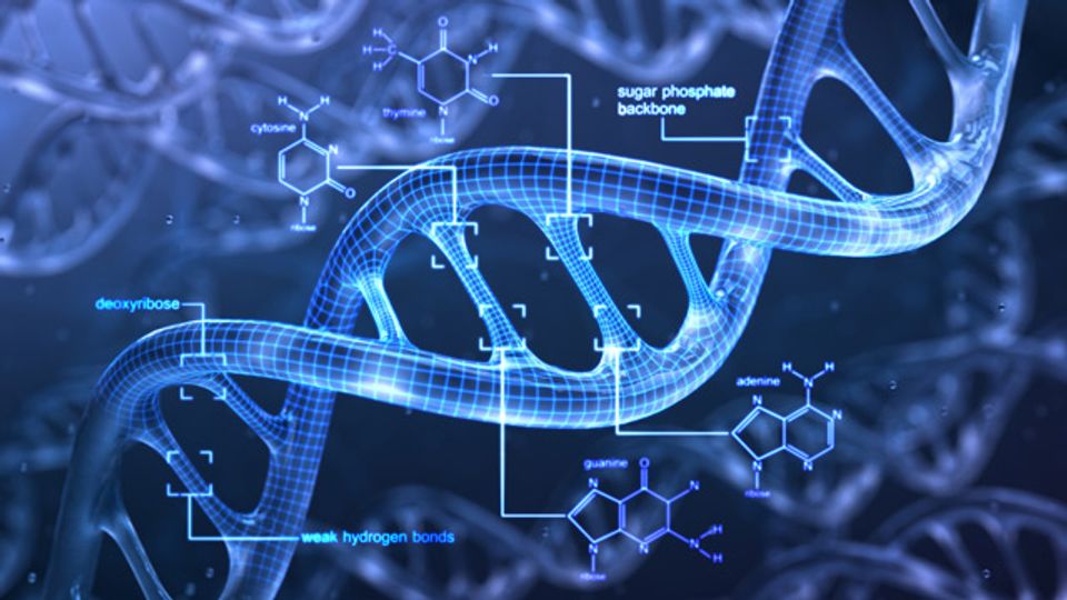 DNA Methylation Market