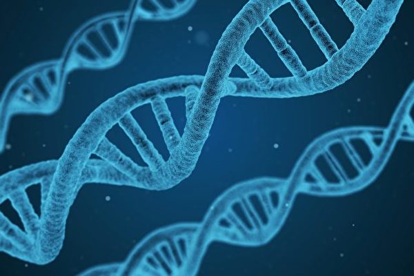 DNA Sequencing Services Market