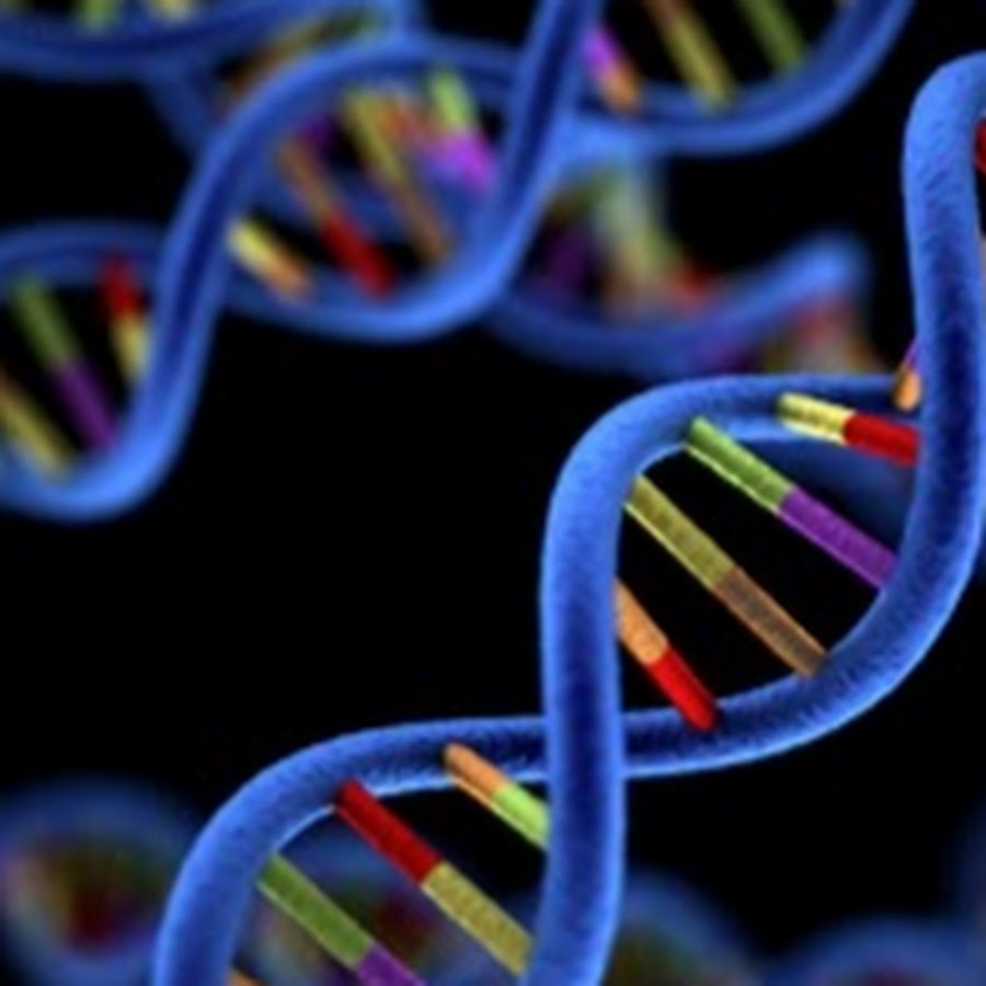 Genetic Revolution Unleashed: Genomics Market Aims For US$ 170.5 ...