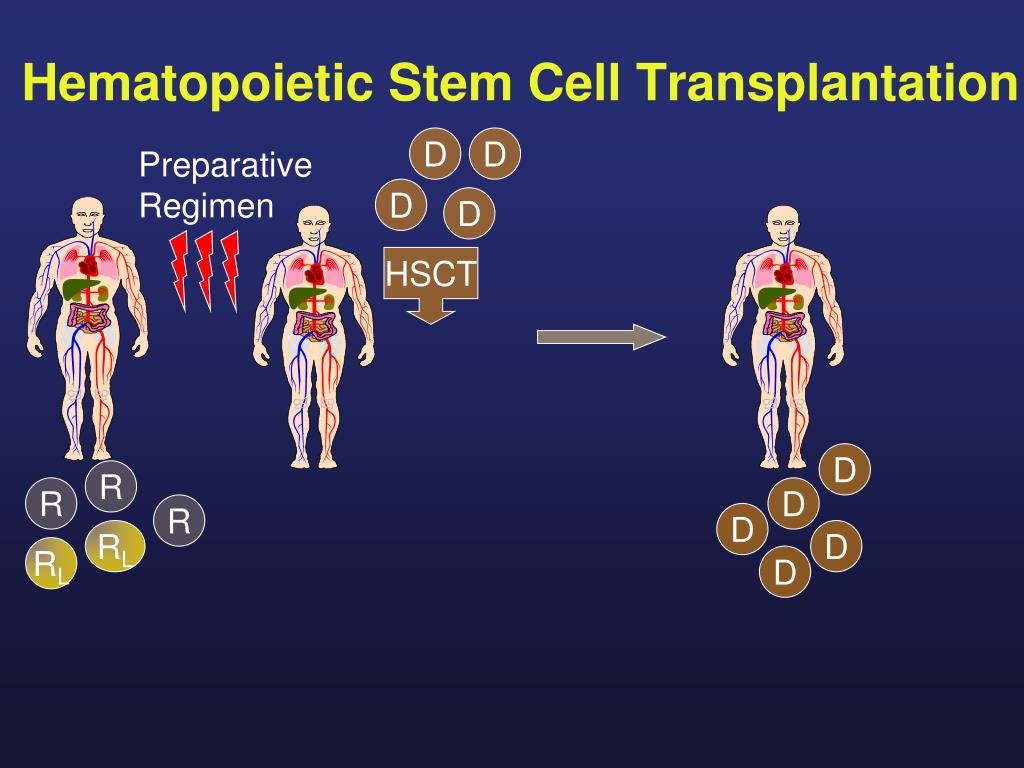 Hematopoietic Stem Cell Transplantation Market