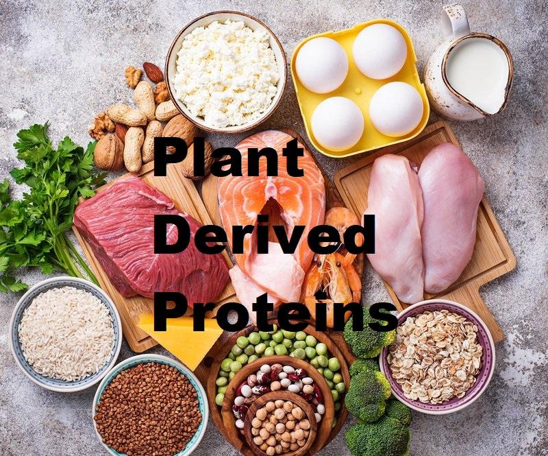 Plant Derived Proteins Market