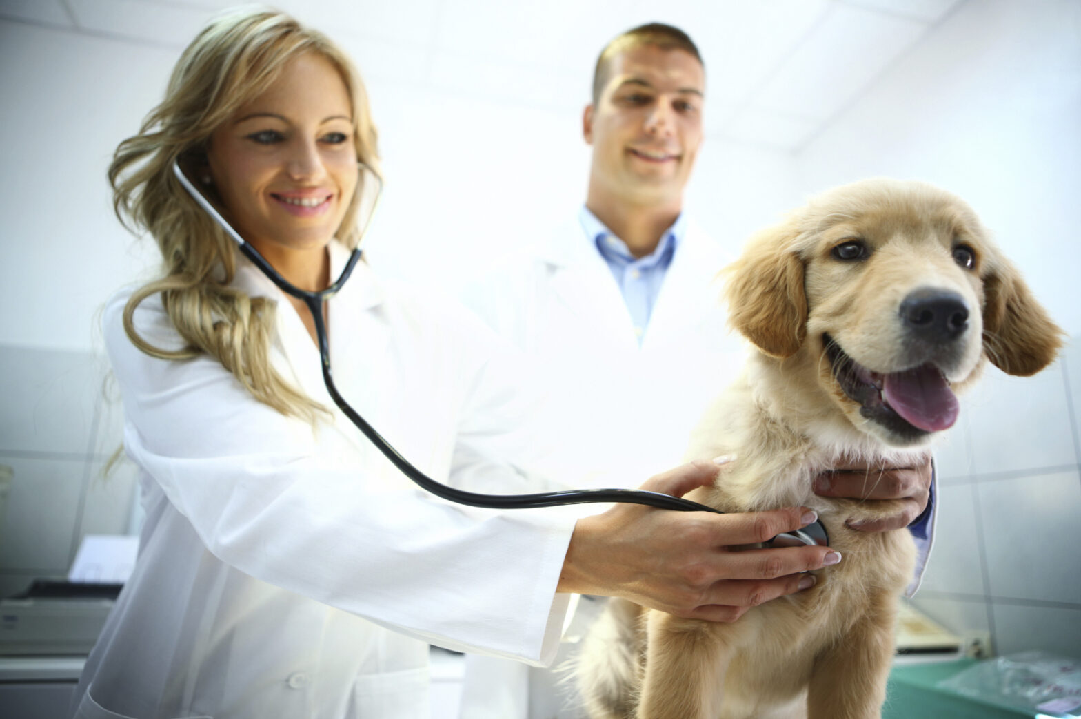 Animal Healthcare Market