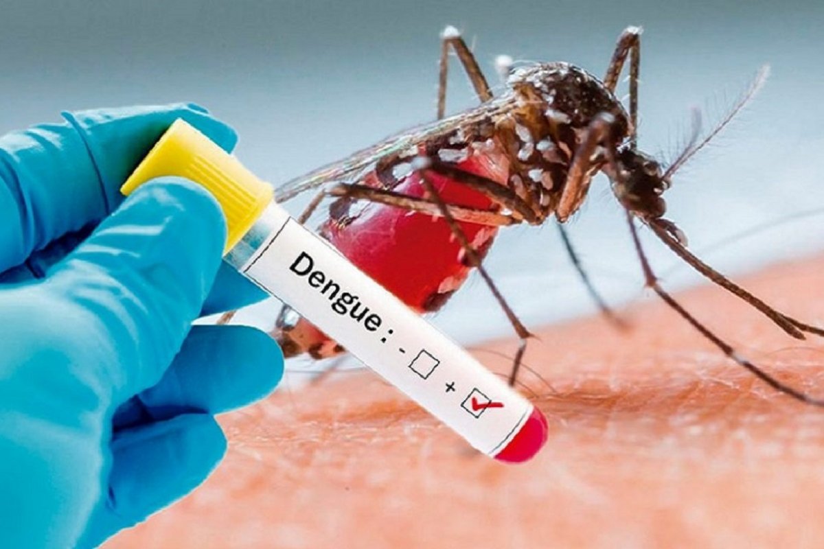 Dengue Vaccines Market