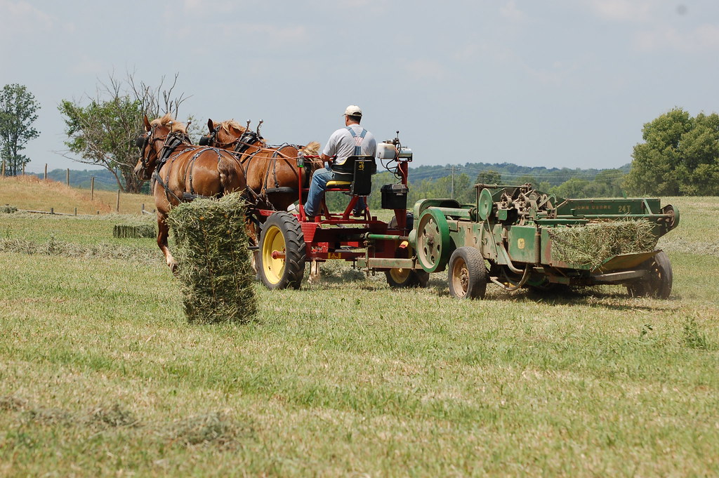 Horse Drawn Farming Equipment Market