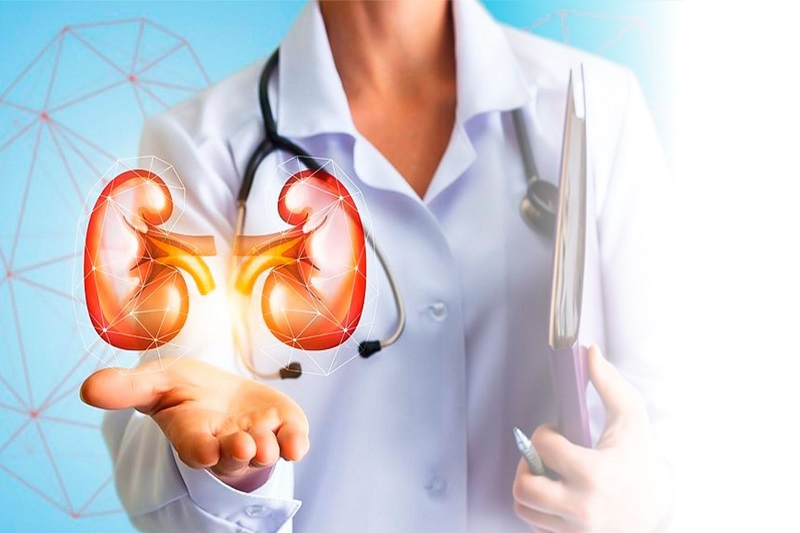 Kidney Transplant Market