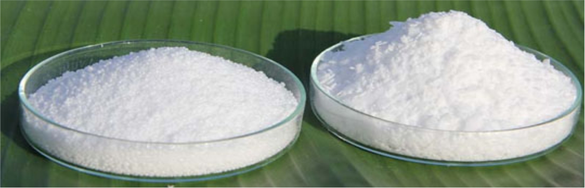 Lauric Acid Market