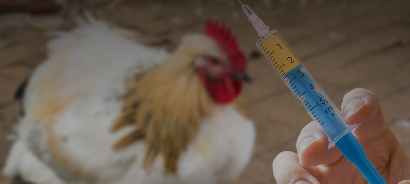 Poultry Diagnostic Testing Market