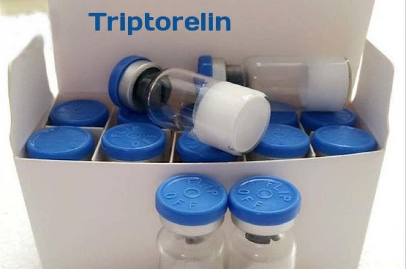 Triptorelin Market