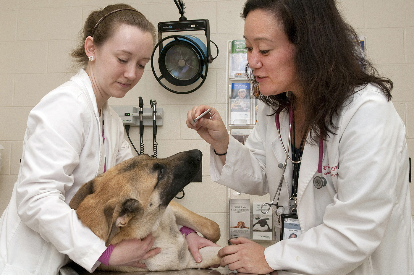 Veterinary Auto-Immune Therapeutics Market