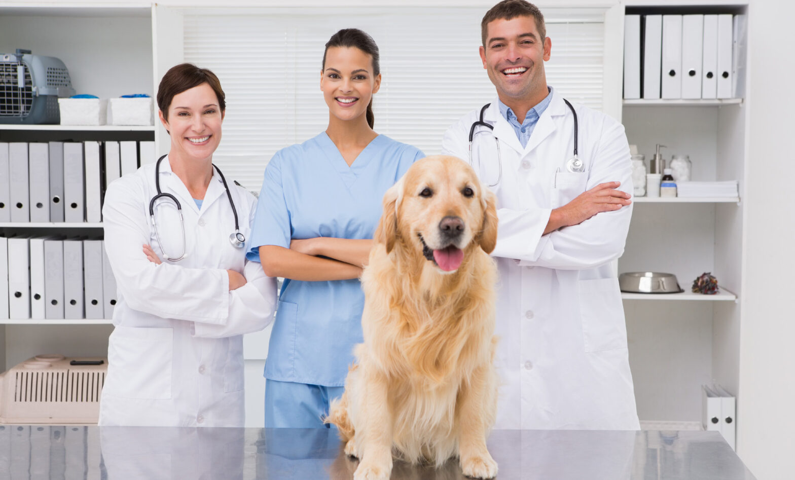 Veterinary Disinfectant for Pets and Farms Market