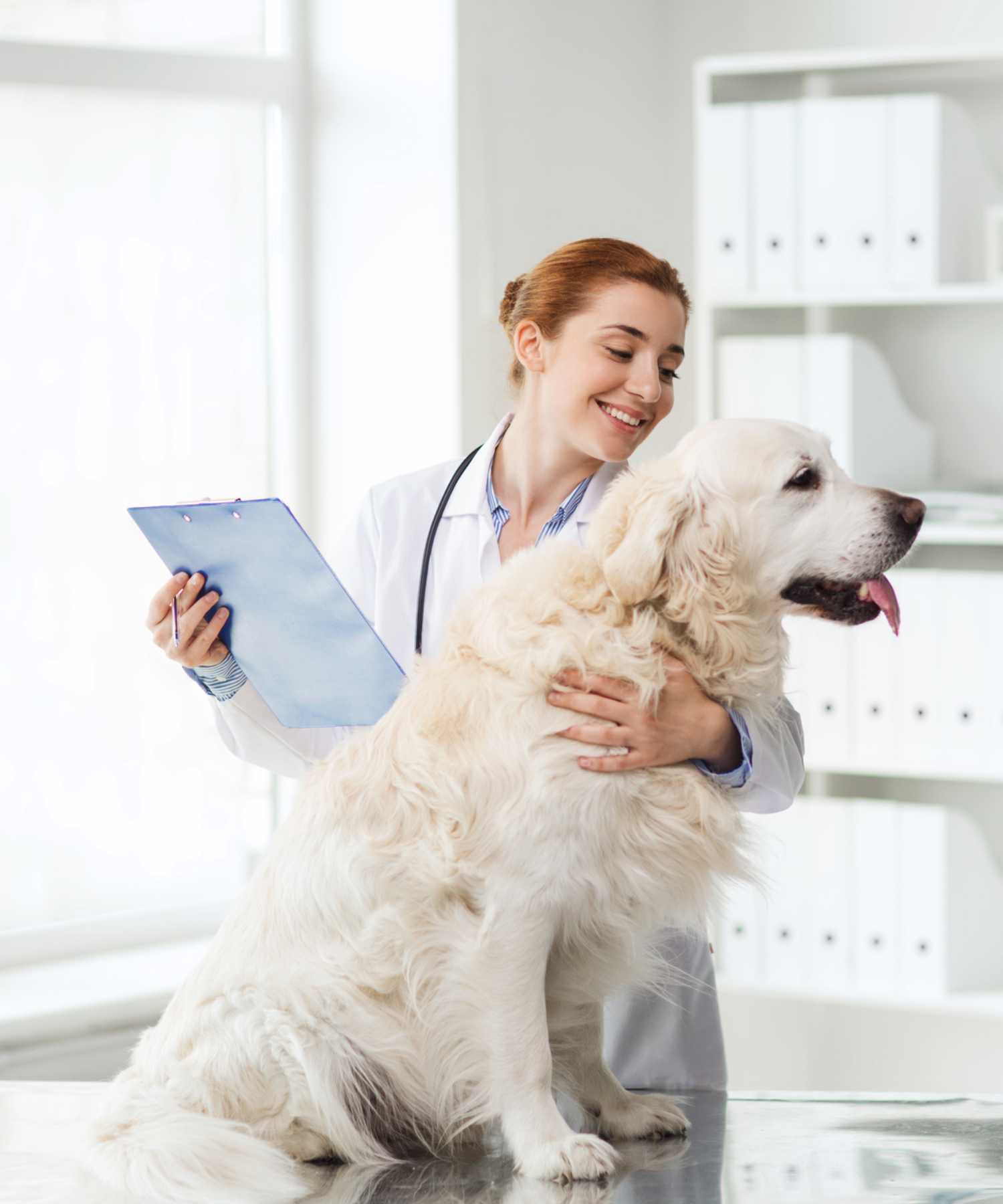 Veterinary Rehabilitation Services Market