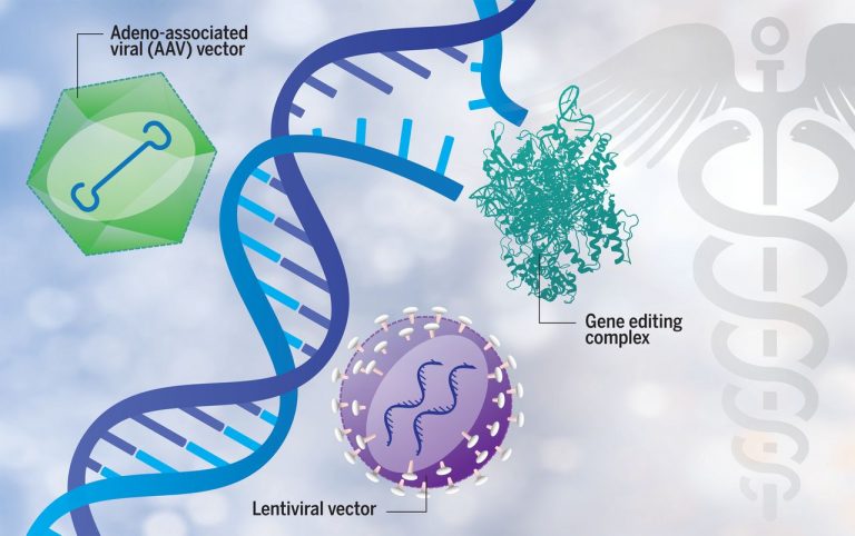 Viral Vector Development Market