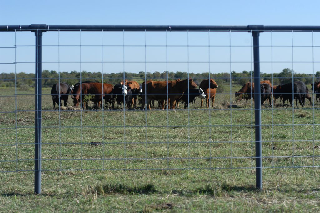 Wire Livestock Panels Market