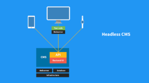 Headless CMS Software Market