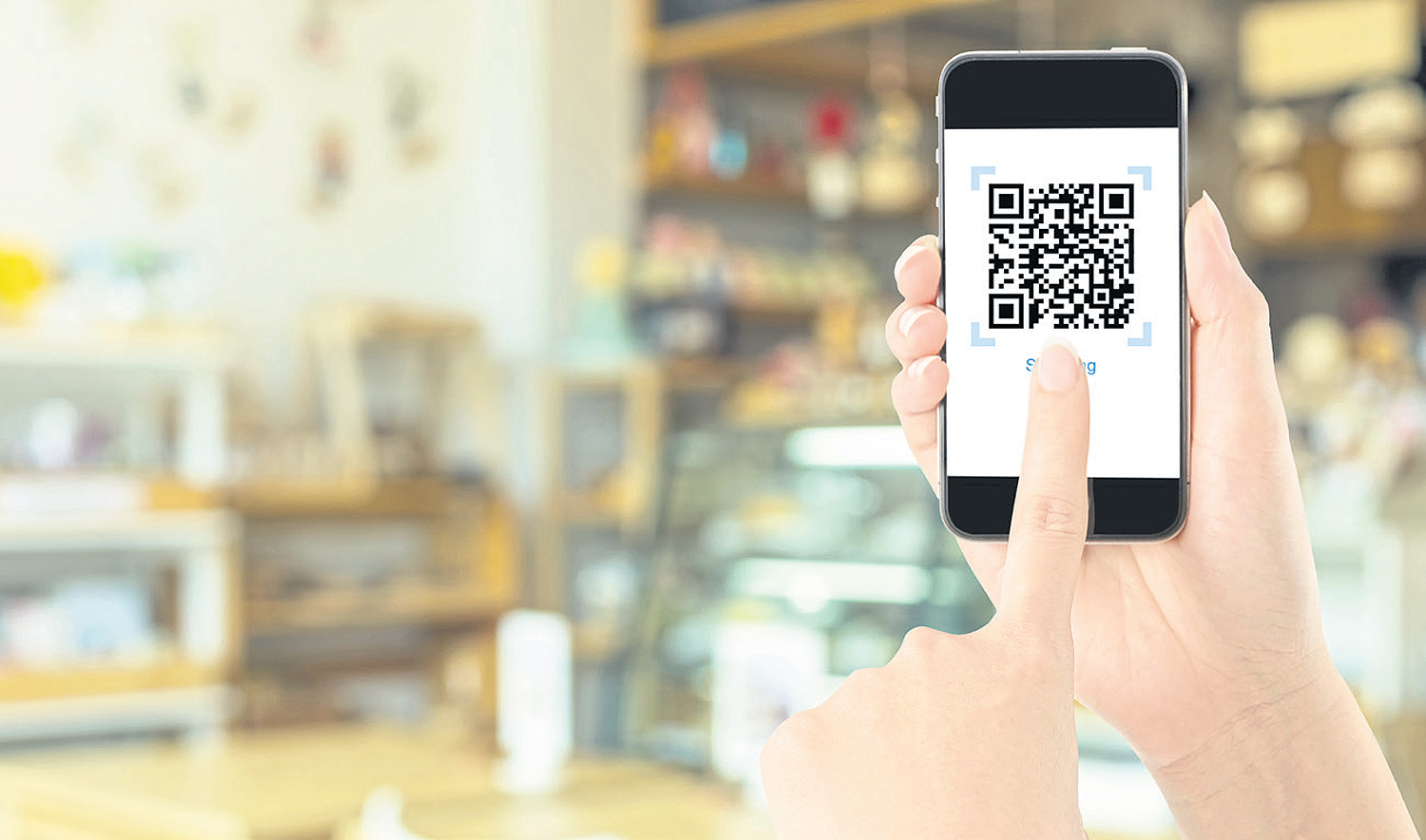 QR Code Payment Market