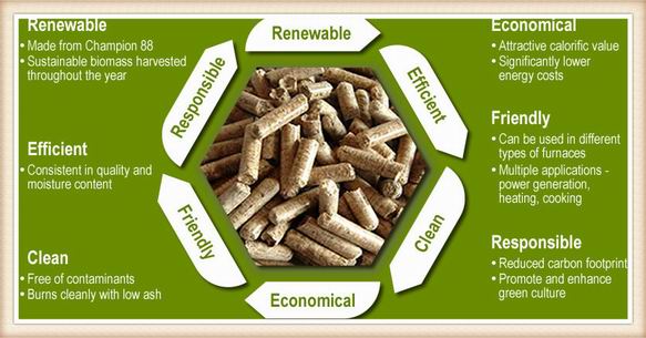 Europe Biomass Pellets Market