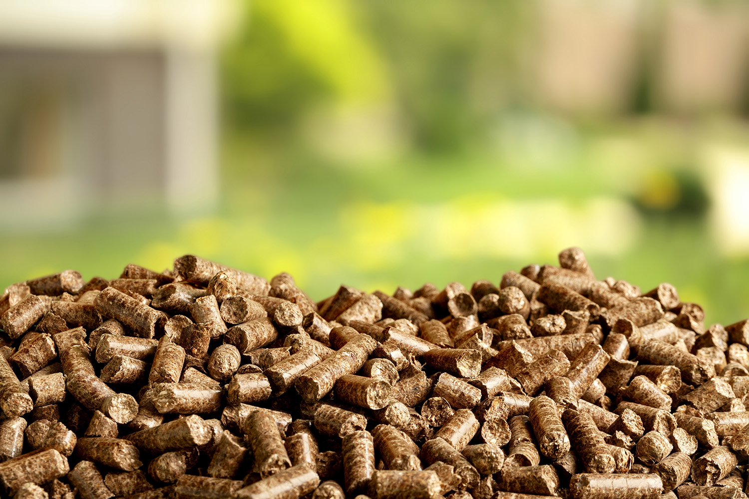 Biomass Pellets