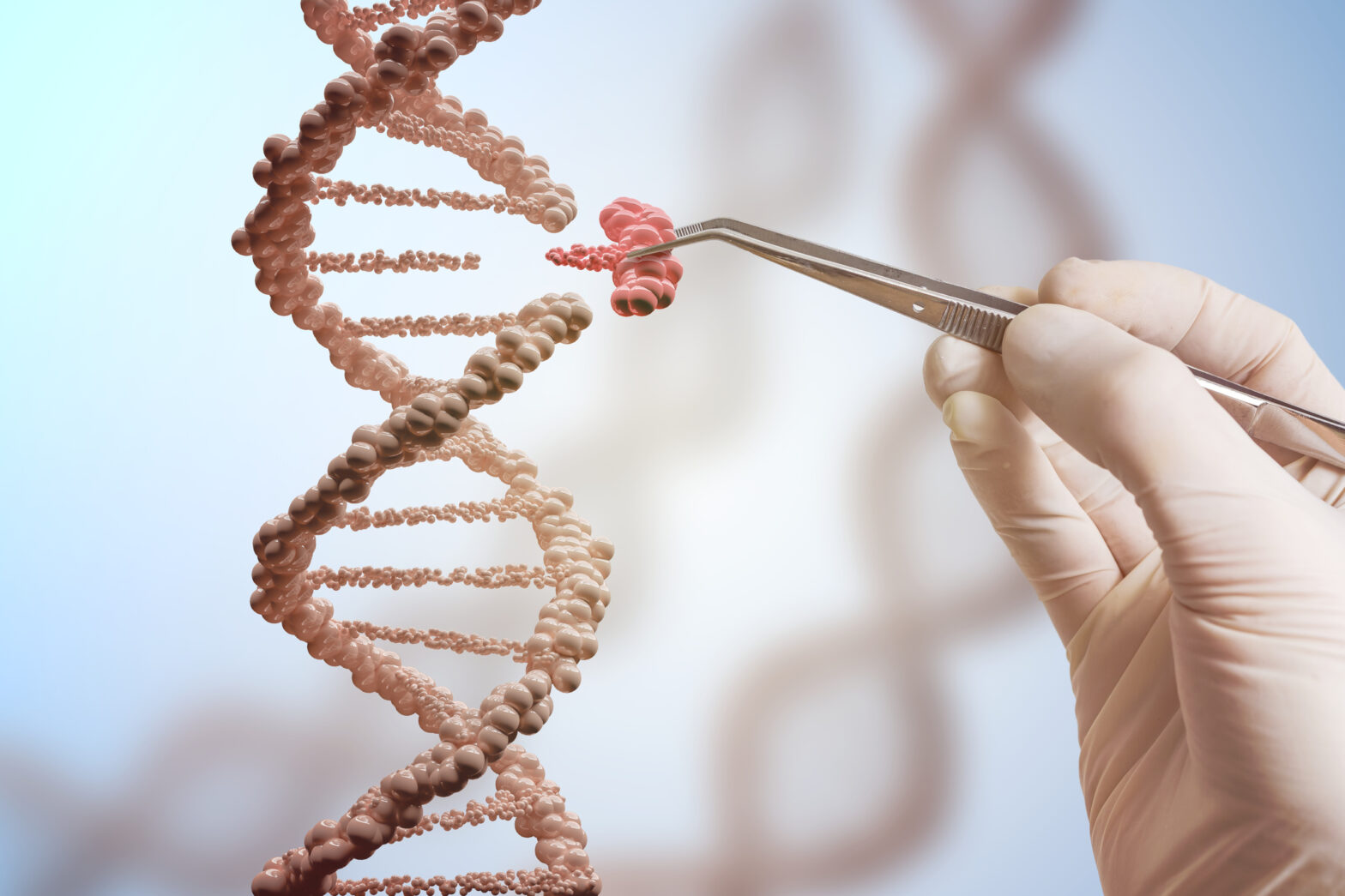 CRISPR and Cas Gene Industry