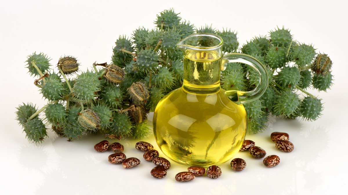 Castor Oil Derivatives Market