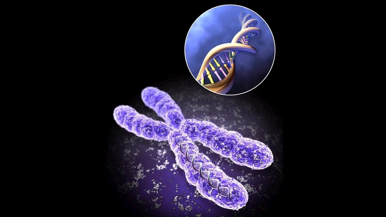 Cytogenetic Systems Industry