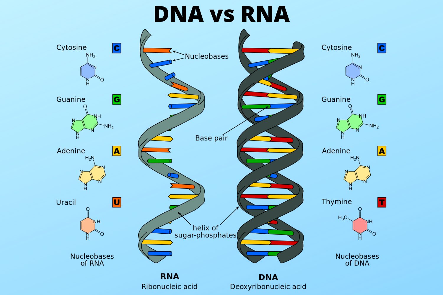 DNA/RNA Extraction Industry